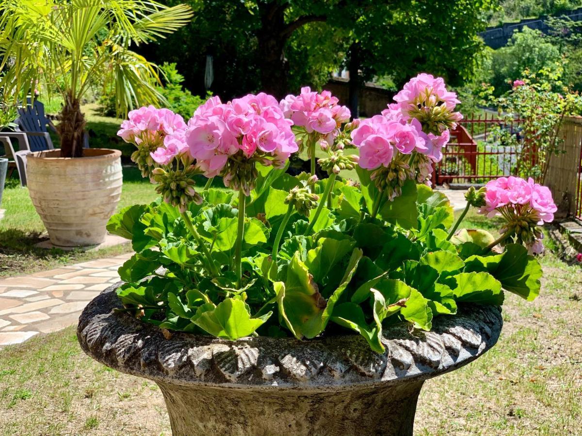 Villa St. Hubert Saint-Nectaire Ngoại thất bức ảnh